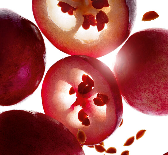 Cranberry-Biologisches Cranberry-Öl-Vaccinium macrocarpon (cranberry) seed oil