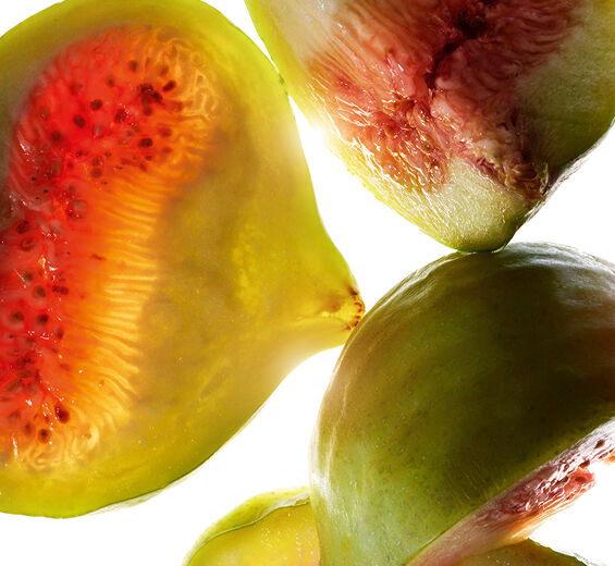 Feigenbaum-Feigen-Extrakt-Ficus carica (fig) fruit extract