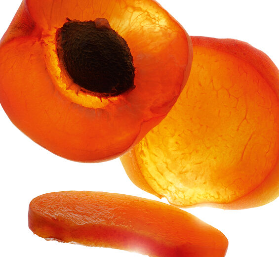 Aprikosenbaum-Bio-Aprikosenkernöl-Prunus armeniaca (apricot) kernel oil