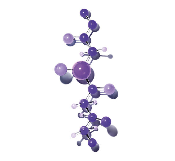 Aufpolsterndes Peptid