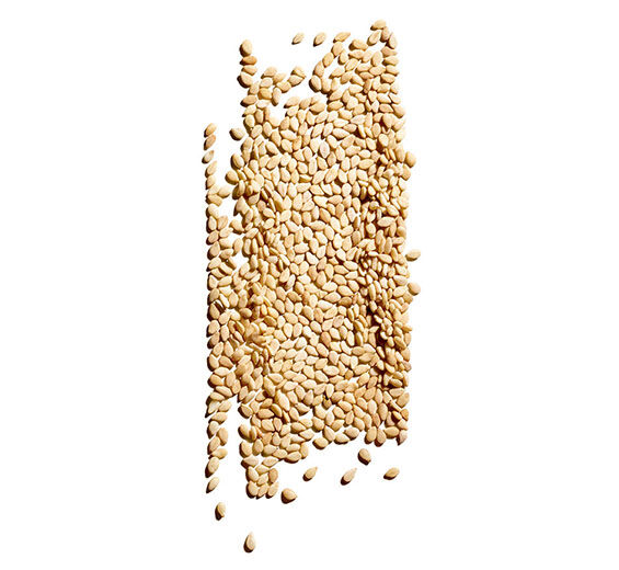 Sesam-Bio-Sesamöl-Sesamum indicum (sesame) seed oil