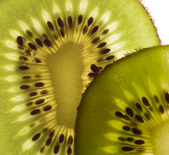 Kiwi-Extrait de kiwi bio-Actinidia chinensis (kiwi) fruit extract