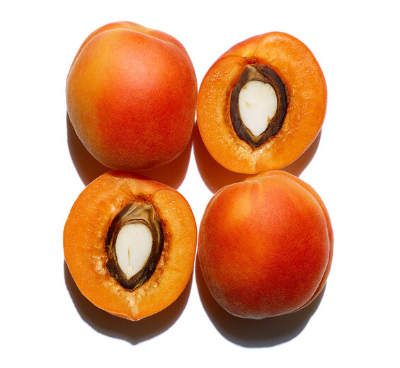 Aprikosenbaum-Bio-Aprikosenkernöl-Prunus armeniaca (apricot) kernel oil