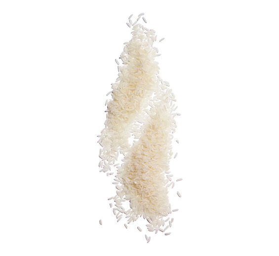 Reis-Reispulver-Oryza sativa (rice) starch