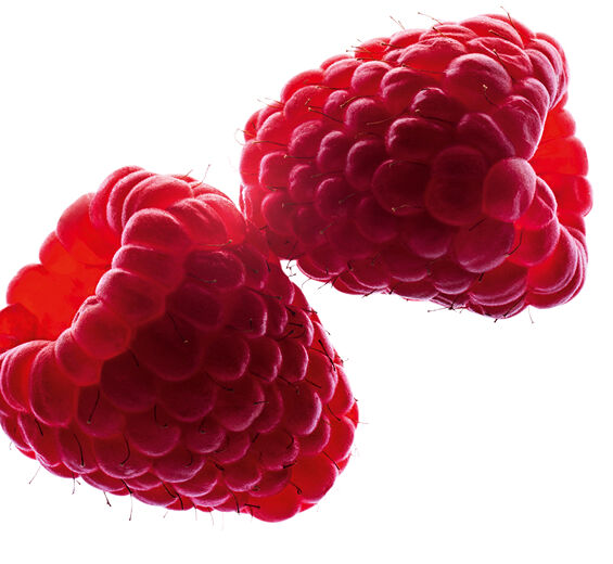Himbeerstrauch-Himbeerkernöl-Rubus idaeus (raspberry) seed oil
