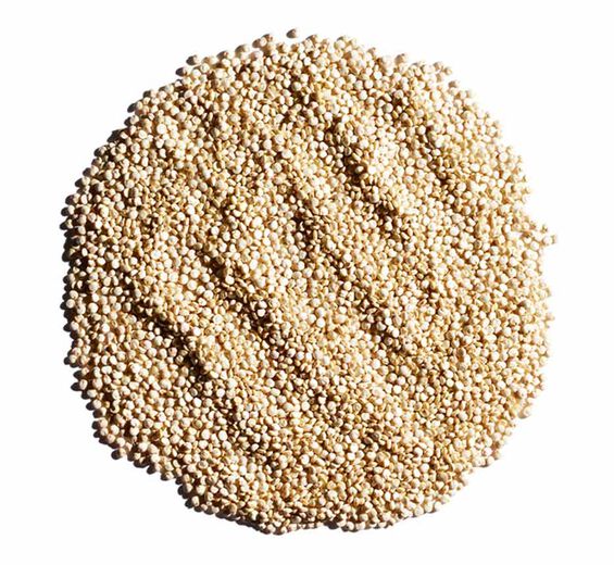 Quinoa-Bio-Quinoa-Extrakt-Chenopodium quinoa seed extract