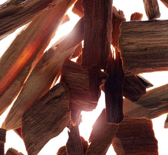 Santal-Huile essentielle de santal-Santalum album (sandalwood) oil