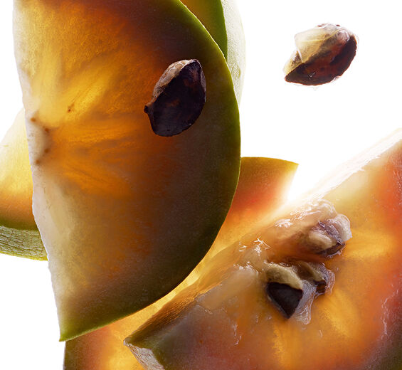 Sternapfelbaum-Vu-Sua-Extrakt-Chrysophyllum cainito fruit extract