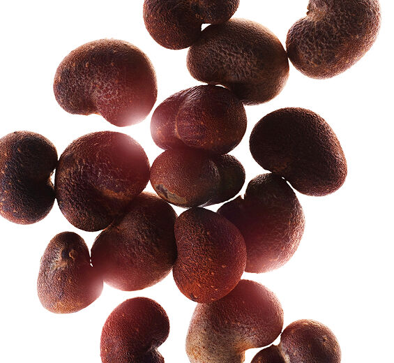 Baobab-Baobab-Extrakt-Hydrolyzed adansonia digitata extract