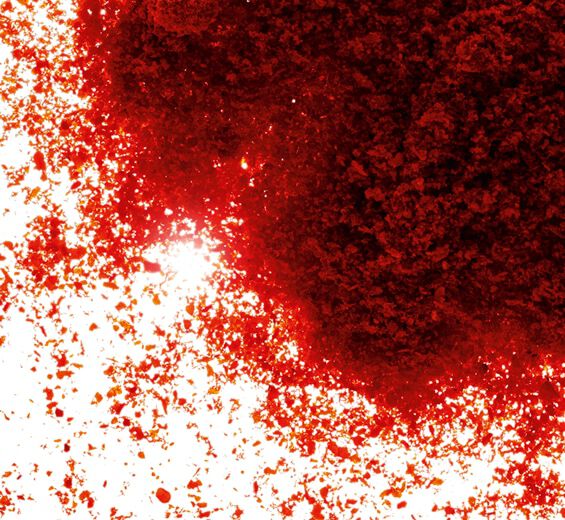 Paprika-Extrait de paprika-Capsicum annuum fruit extract