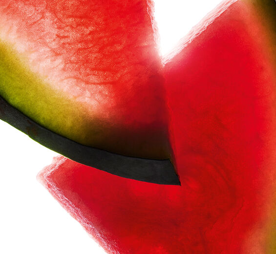 Wassermelone-Wassermelonen-Extrakt-Citrullus lanatus (watermelon) fruit extract