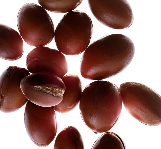 Argan-Bio-Arganöl-Argania spinosa kernel oil