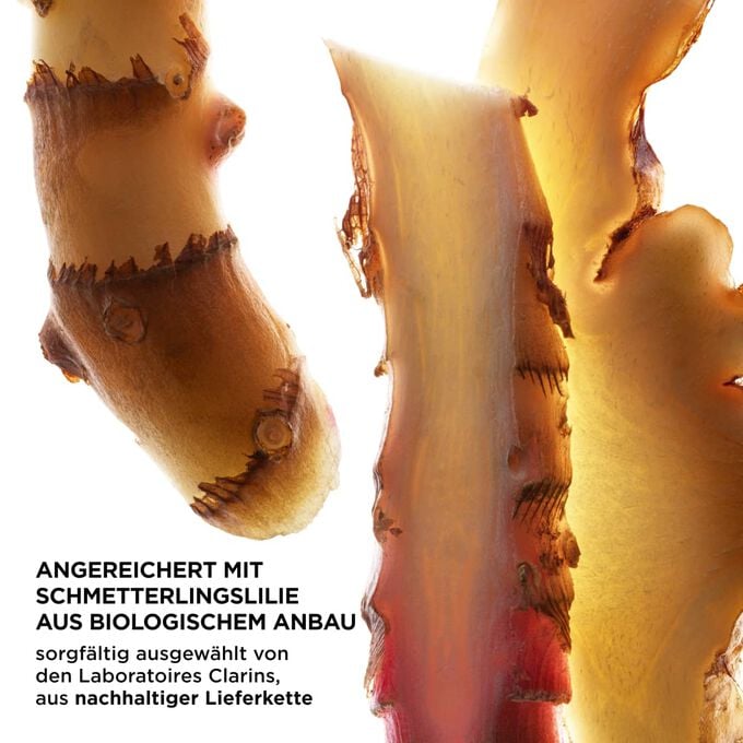 Nahaufnahme von Ingwerscheiben zur Hervorhebung der Schl&uuml;sselwirkstoffe von UV Protect, sorgf&auml;ltig ausgew&auml;hlt von den Laboratoires Clarins und nachhaltig bezogen.