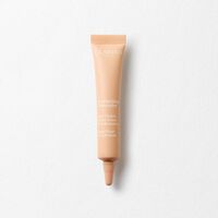 Everlasting Concealer