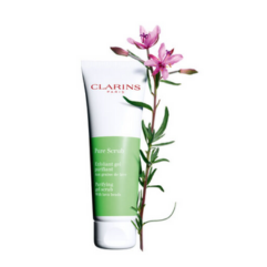 Image Clarins Pure Scrub