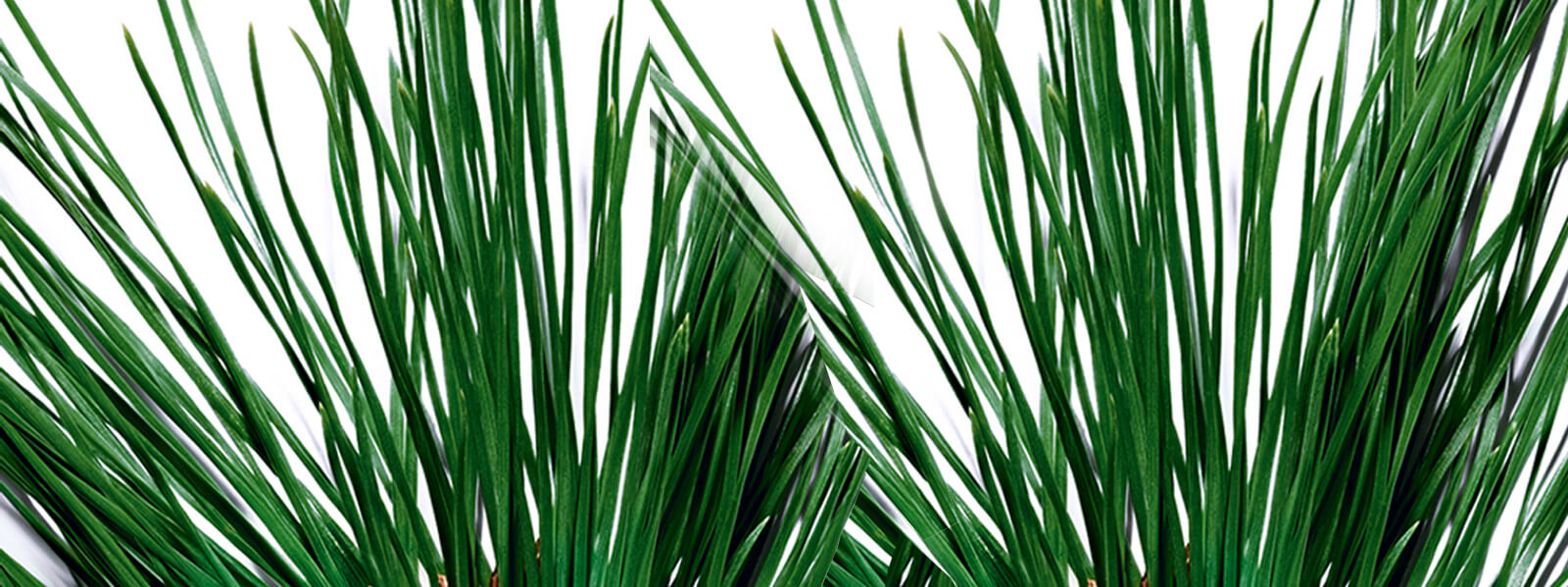 freezing background