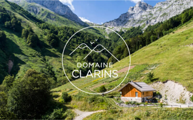 Chalet aus Holz in einer bezaubernden Landschaft mit grünen und bewaldeten Bergen