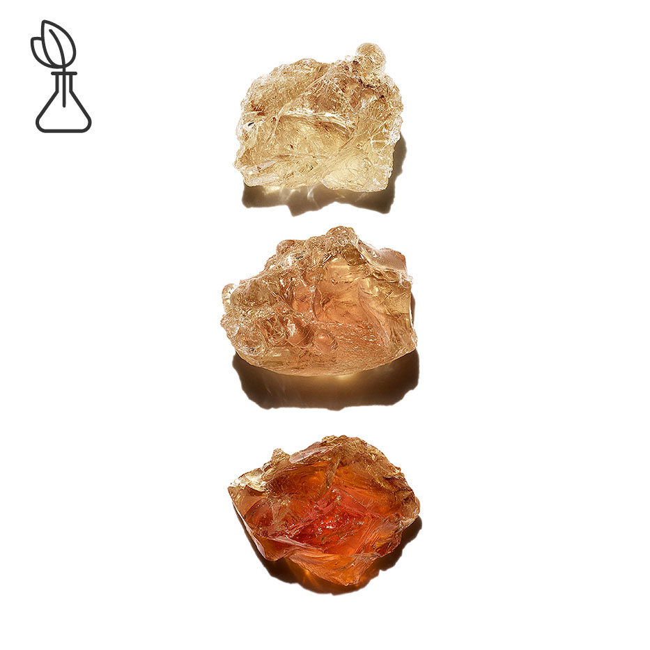 Senegal-Akazie-Pflanzlicher Mikropatch-Acacia Senegal gum