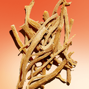 Ginseng rouge