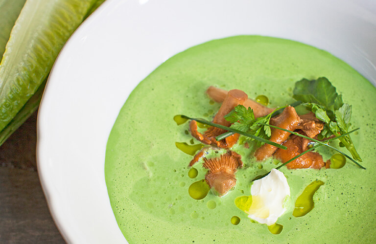 Salatsuppe mit marinierten Pfifferlingen