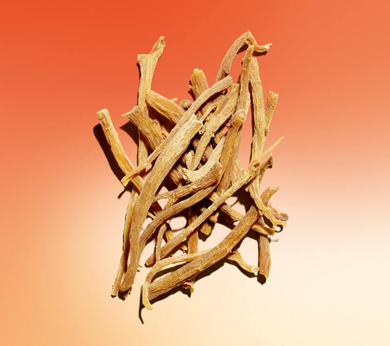 Quelles sont les propriétés du ginseng Rouge ?