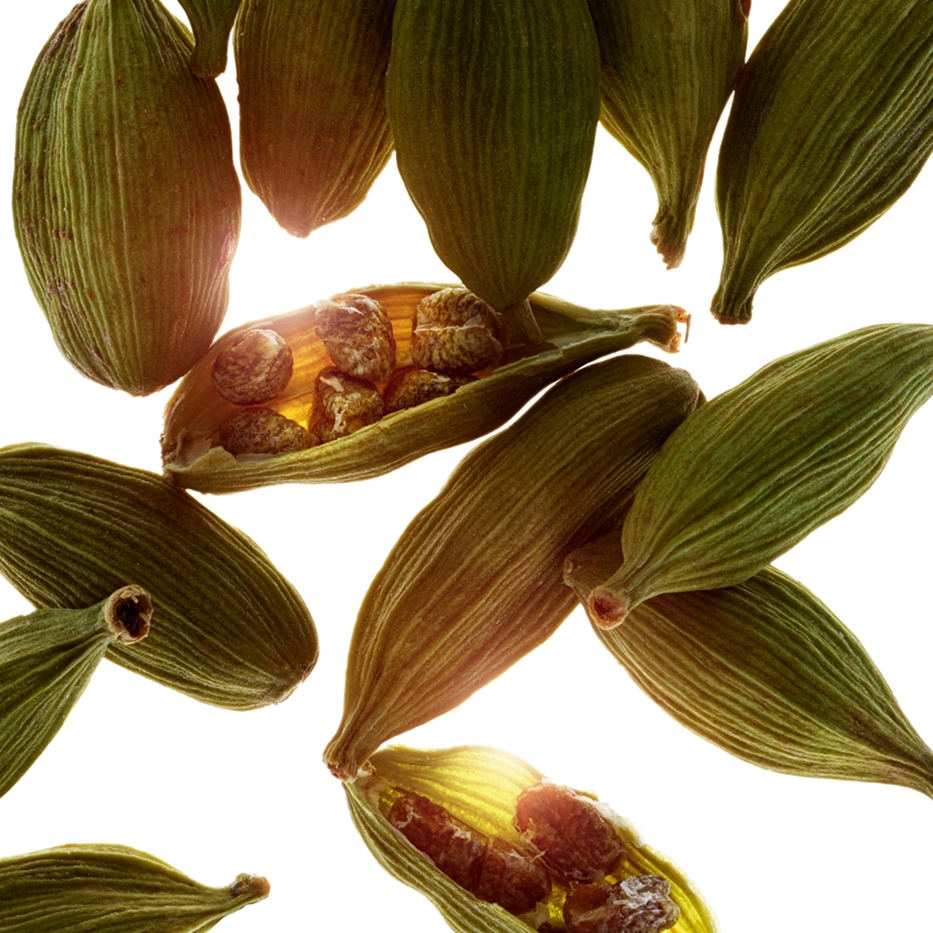 Cardamome-Huile essentielle de cardamome-Elettaria cardamomum seed oil
