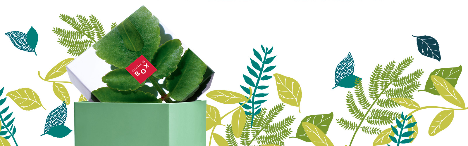Love Nature Box