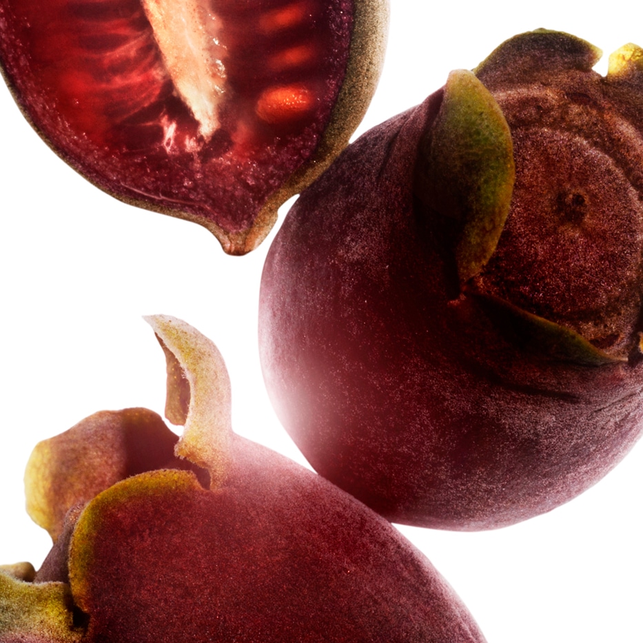 Rose-myrtle-Extrait de rose-myrtle-Rhodomyrtus tomentosa fruit extract