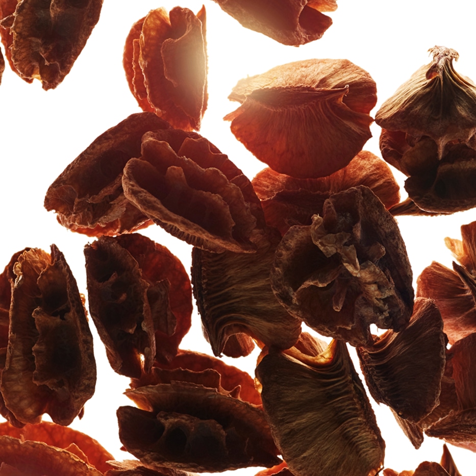 Acerola-Acerola-Samen-Extrakt-Malpighia emarginata (acerola) seed extract