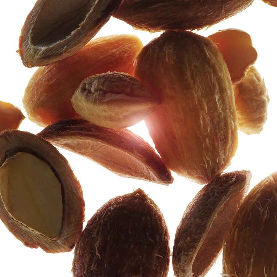 Wüstendattel-Bio-Wüstendattel-Extrakt-Balanites roxburghii seed oil