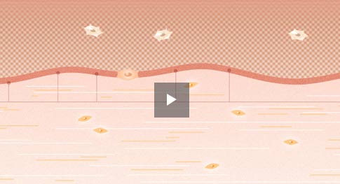 Wissenschaftliches Video