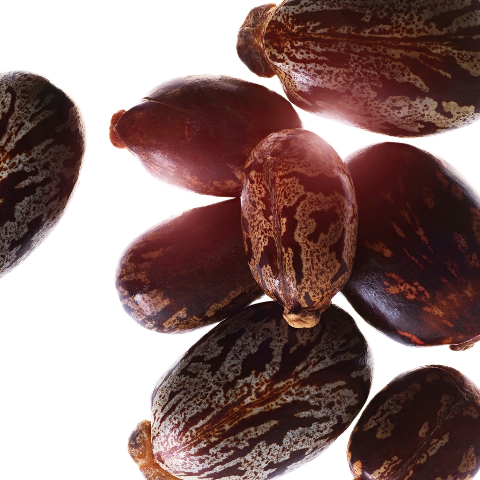 Ricin-Huile de ricin bio-Ricinus communis (castor) seed oil