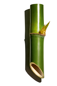 Bambuspuder