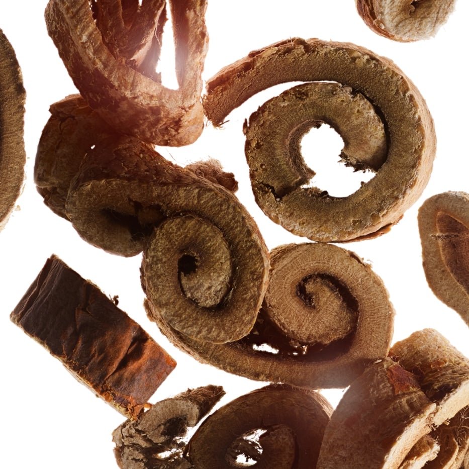 Weisser Maulbeerbaum-Extrakt aus biologischem Weissen Maulbeerbaum-Morus alba root extract