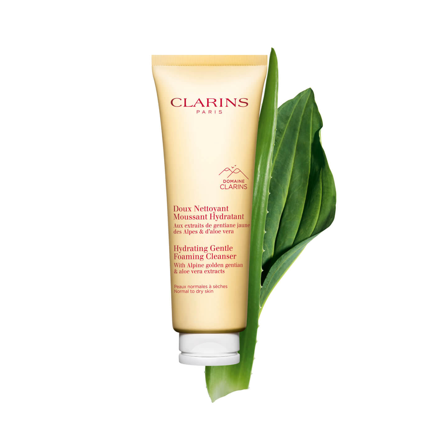 Clarins cleanser discount